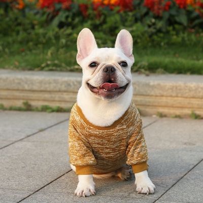 편안하고 지속 가능한 애완 동물 개 고양이 티셔츠 의류 액세서리 타입 스웨터 스웨터