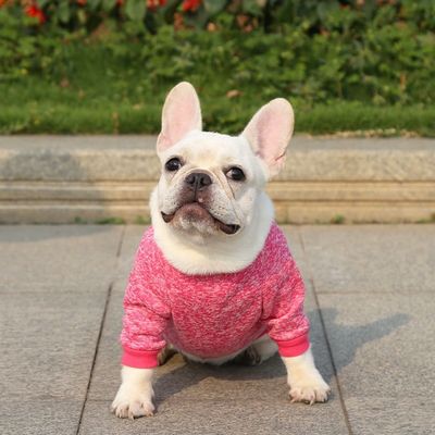 편안하고 지속 가능한 애완 동물 개 고양이 티셔츠 의류 액세서리 타입 스웨터 스웨터