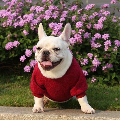 편안하고 지속 가능한 애완 동물 개 고양이 티셔츠 의류 액세서리 타입 스웨터 스웨터