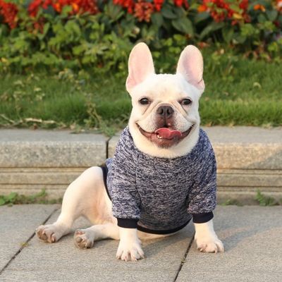 폴리에스터 가을 및 겨울 애완 동물 개 옷 두꺼운 따뜻한 옷 작은 개 XS-XXL