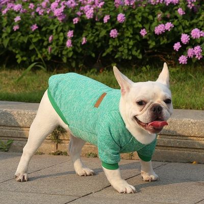XS-XXL 다른 색상 액세서리 XS-XXL 개용 현대 개 의류