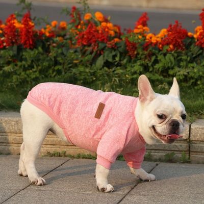 XS-XXL 다른 색상 액세서리 XS-XXL 개용 현대 개 의류