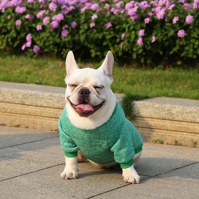 넥타이 강아지 의류 네 다리 의 동반자 를 위한 단단 한 패턴 폴리에스터 재료