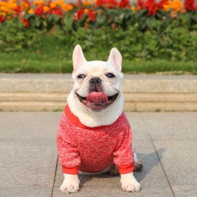XS-XXL 강아지 의류 겨울 따뜻한 애완 동물 의류 폴리에스테르 짜인 강아지 스웨터