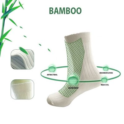 가을 여자 양치 양치 양치 양치 양치 양치 양치 양치 양치 양치 양치 양치 양치 양치 양치 양치 양치 양치 양치 양치 양치 양치 양치 양치 양치 양치 양치 양치 양치 양치 양치 양치 양치 양치 양치 양치 양치 양치 양치 양치 양치 양치 양치 양치 양치 양치 양치 양치 양치 양치 양치 양치 양치 양치 양치 양치 양치 양치 양치 양치